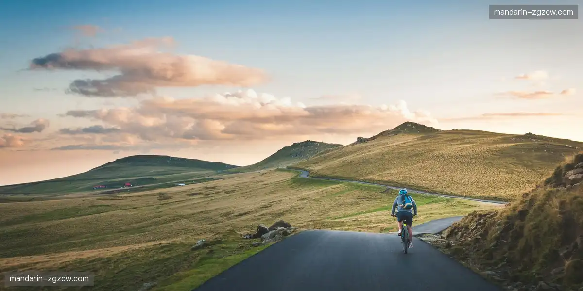 专业数据挖掘工具 提供市场洞察支持